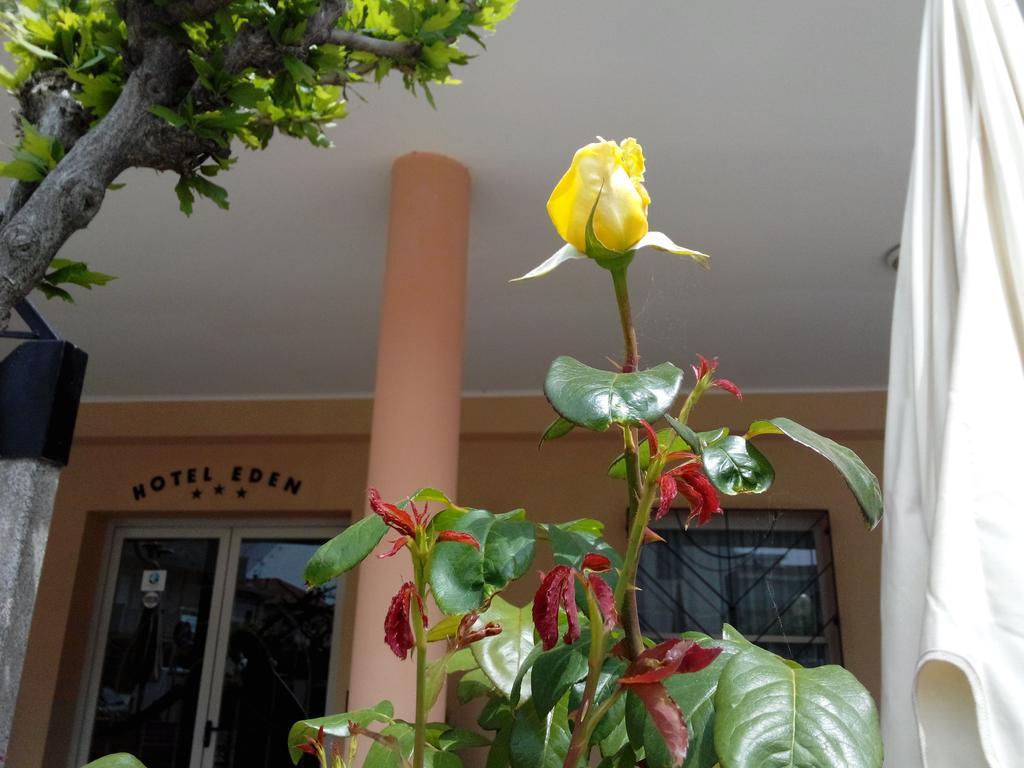 Hotel Eden Viserbella di Rimini المظهر الخارجي الصورة